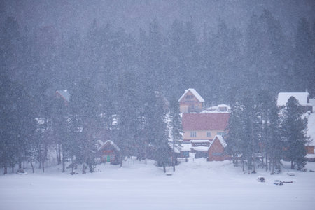 Houses in fir forest under heavy snow on the bank of Teletskoe lake. Iogach, on Altai.の写真素材