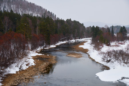 River Lebed' near Altai village Ust'-Lebed' in winter season. Siberia, Russiaの写真素材