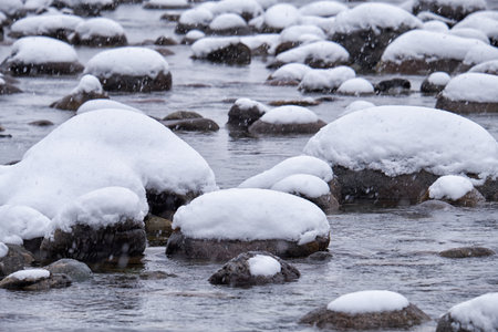 Stones with snow caps in the water of Altai Biya river under heavy snow in winter season.の写真素材