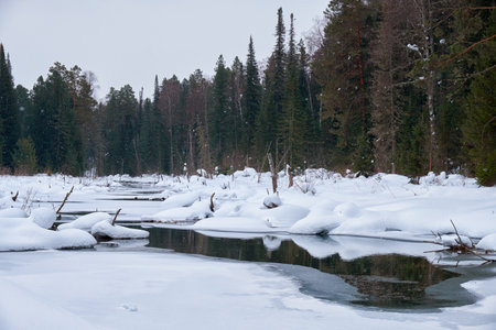 Small creek in Altai village Ust'-Lebed' in winter season. Siberia, Russiaの写真素材