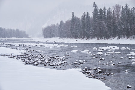 Stones with snow caps in the water of Altai Biya river under heavy snow in winter season with forest on background.の写真素材