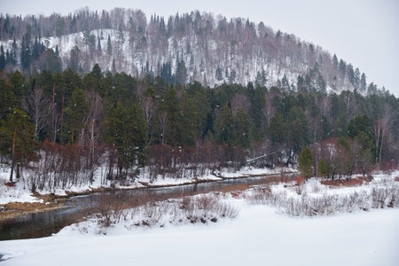 River Lebed' near Altai village Ust'-Lebed' in winter season. Siberia, Russiaの写真素材