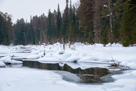 Small creek in Altai village Ust'-Lebed' in winter season. Siberia, Russiaの写真素材