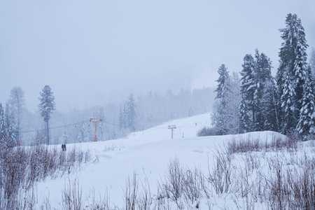 Teletsky Altai winter mountain ski resort. Mount and forest background under snowfall.の写真素材
