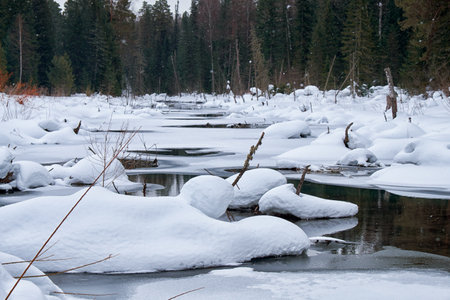 Small creek in Altai village Ust'-Lebed' in winter season. Siberia, Russiaの写真素材