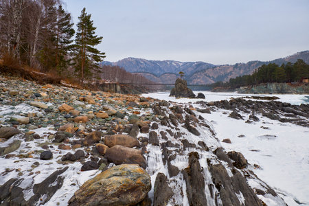 Lonely Pine tree on rock on Altai river Katun in winter. Rocks called Dragon's teeth, Dragon crest, or Sartakpai Arrows. Bridge over river is on background. Elekmonar village, Siberia, Russiaの写真素材