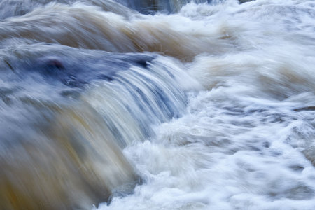 Altai river Katun in Spring season. Boulders in river rapids. The water is dirty because of the...
