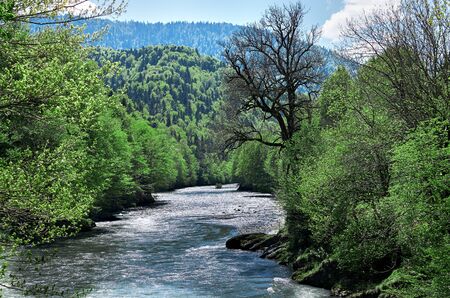 Russia. Krasnodar region. Mountain river in Adygea.