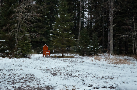 Russia. Karelia. Territory of the reserveのeditorial素材