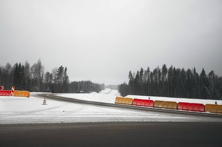 Russia. Karelia. Karelian forests in winter. Trees in the snow.の写真素材