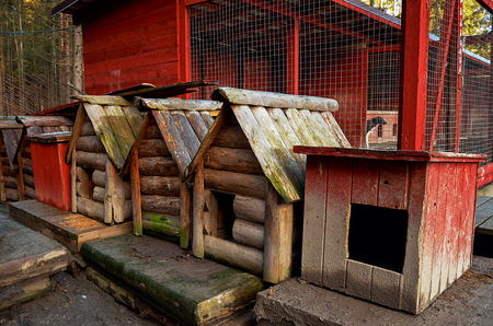 Russia. Karelia. An ancestral place of Karelian Father Frost. Canine nursery. November 14, 2017のeditorial素材