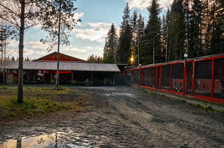 Russia. Karelia. An ancestral place of Karelian Father Frost. Canine nursery. November 14, 2017のeditorial素材