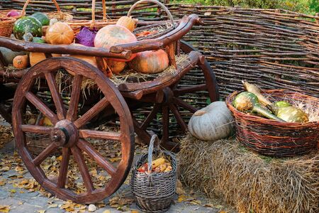 Russia. Kamensk-Shakhtinsky Rostov region. Old Village. The territory of the landscape parkのeditorial素材