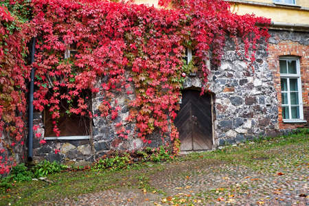 Finland Helsinki. The territory of the fortress Sveaborg in Helsinki. September 16, 2018のeditorial素材