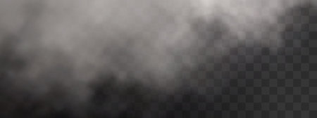 Dark and smoky vector with fog, steam, and fire effects on a transparent backgroundâideal for atmospheric, spooky, or abstract designs.のイラスト素材