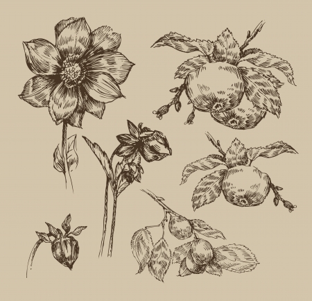 Garden. Vintage patternのイラスト素材