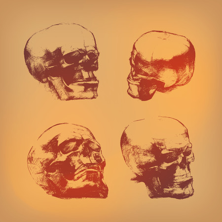Skull  Vector formatのイラスト素材