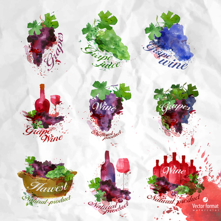 Grapes.Vector formatのイラスト素材