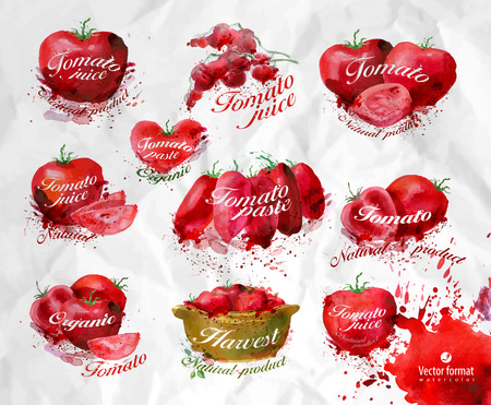 Tomatoesのイラスト素材
