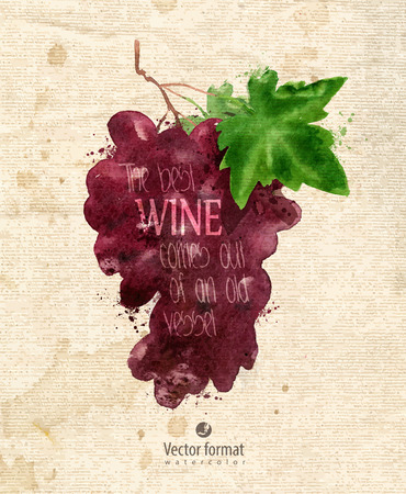 Grapes. のイラスト素材