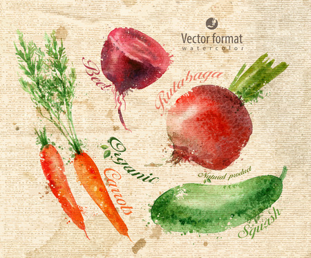 Vegetables. のイラスト素材