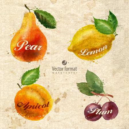 Fruitsのイラスト素材