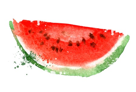 watercolor drawing. water-melon on a white background. vector illustrationのイラスト素材