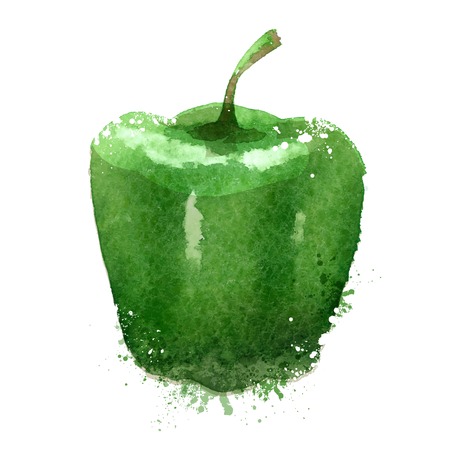 watercolor drawing. pepper on a white background. vector illustrationのイラスト素材