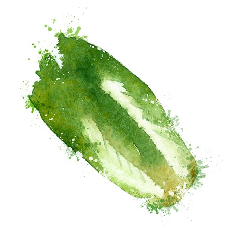 cabbage  design template. vegetable or food icon.のイラスト素材