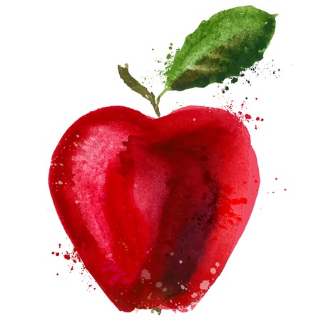watercolor. Red Apple on a white background. vector illustrationのイラスト素材