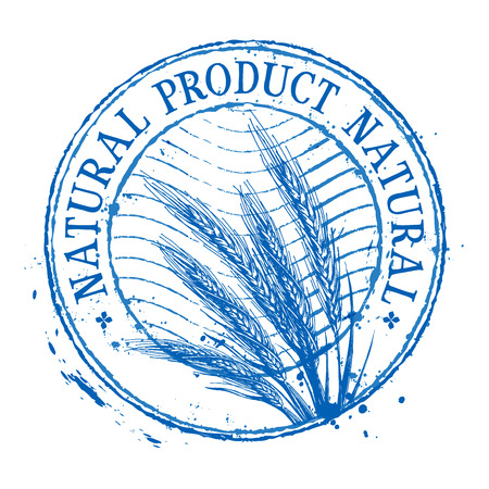 wheat on a white background. vector illustrationのイラスト素材