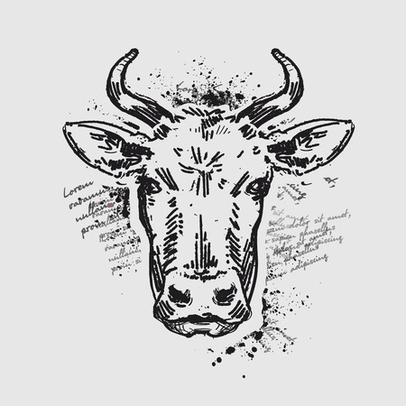 cow head on grey background. sketch. illustrationのイラスト素材