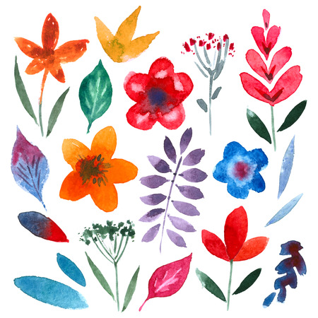 flowers and leaves on a white background. watercolor. illustrationのイラスト素材