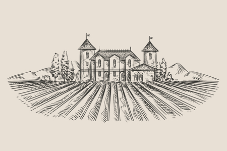 hand drawn vector retro vineyard. vector illustrationのイラスト素材