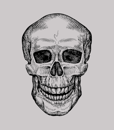Human skull. Hand drawn Jolly Roger. Sketch death, zombie vector illustrationのイラスト素材