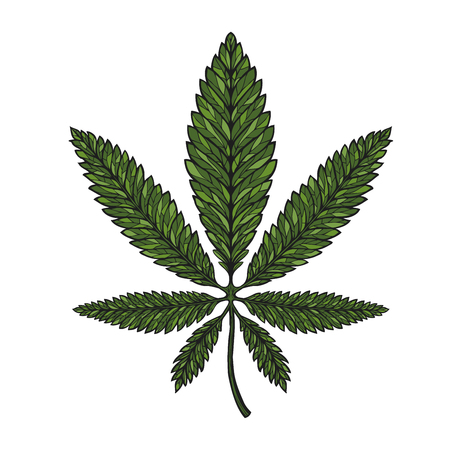 Hand-drawn leaf hemp, cannabis in decorative style. Marijuana vector illustrationのイラスト素材