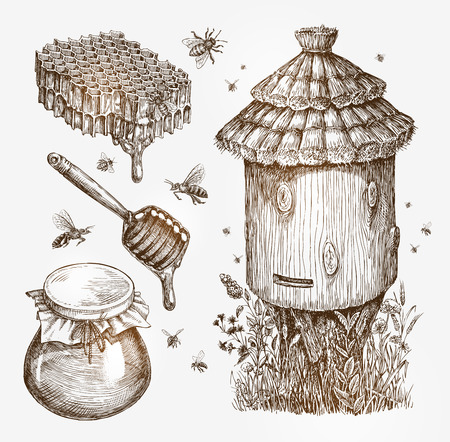 Honey, beekeeping, bees Collection sketch vector illustrationのイラスト素材