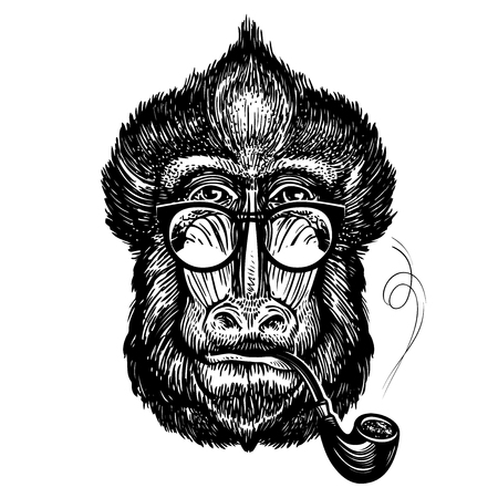 Hand-drawn portrait of funny monkey with glasses. Smart mandrill and smoking pipe. Sketch vector illustrationのイラスト素材