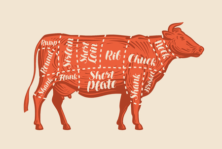 Meat cut charts. Cow, butcher shop, beef. Vector illustrationのイラスト素材