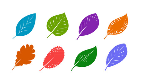 Decorative leaves set. Autumn, nature concept. Vector illustration isolated on white backgroundのイラスト素材