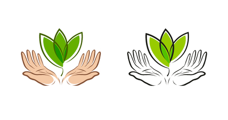 Leaf in handsのイラスト素材