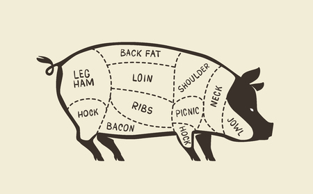 Cuts of pork, pig. Butcher shop meat vectorのイラスト素材