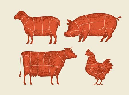 Farm animals with meat cuts lines. Retro vector illustrationのイラスト素材