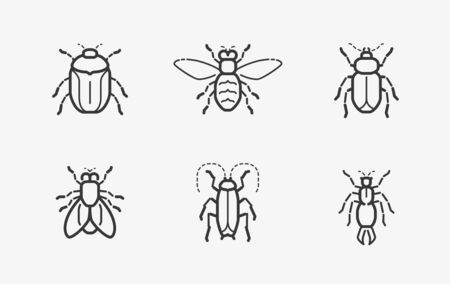 Insects icon set in linear style on whiteのイラスト素材