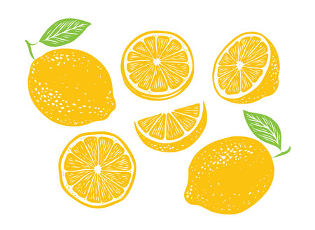 Fresh lemon fruits, collection of vector illustrationのイラスト素材