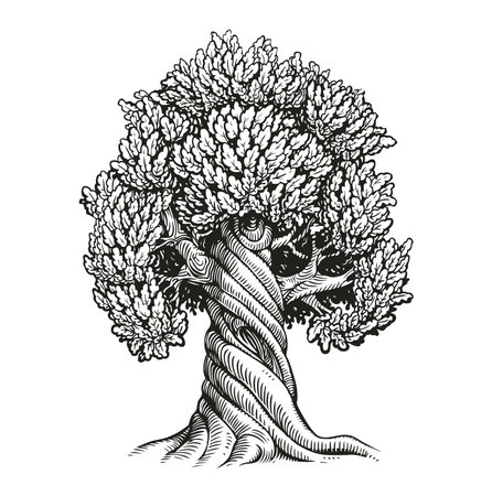 Tree oak. Hand drawn vintage sketch vector illustrationのイラスト素材