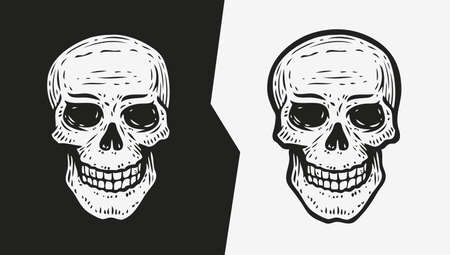 Human skull sketch. Hand drawn vector illustration in engraving styleのイラスト素材