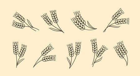 Ears of wheat, barley or rye icons. Food concept in linear style. Vector illustrationのイラスト素材