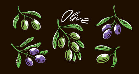 Hand drawn olive branch on black backgroundのイラスト素材
