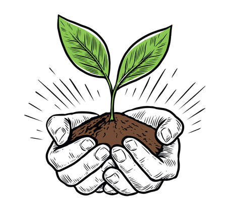 Pair of hands holding plant and soil. Caring for nature concept vector illustrationのイラスト素材